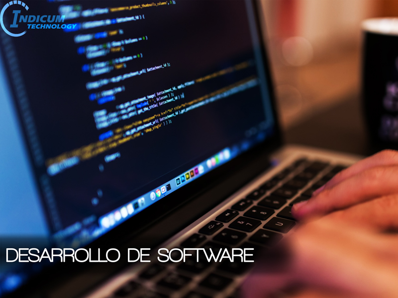 Desarrollo de Software